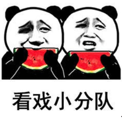 娱乐吃瓜酱考试,揭秘娱乐圈幕后真相