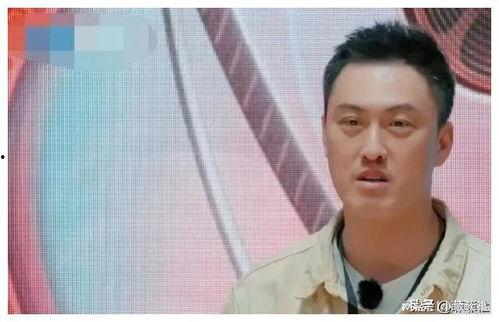 胡歌娱乐圈吃瓜爆料,揭秘明星背后的真实故事