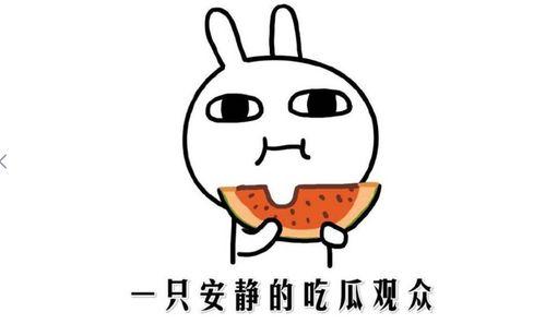 网络用词吃瓜什么意思,围观娱乐圈的趣味与真相