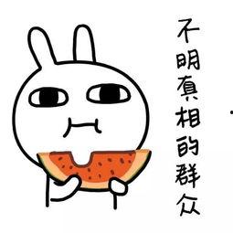 娱乐吃瓜酱的标题,跟随“娱乐吃瓜酱”探寻明星幕后故事