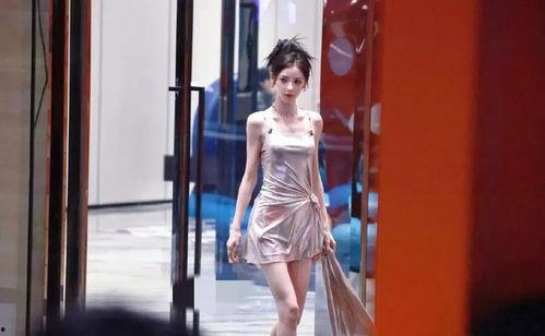 娱乐吃瓜浪姐,娱乐吃瓜，揭秘娱乐圈幕后故事